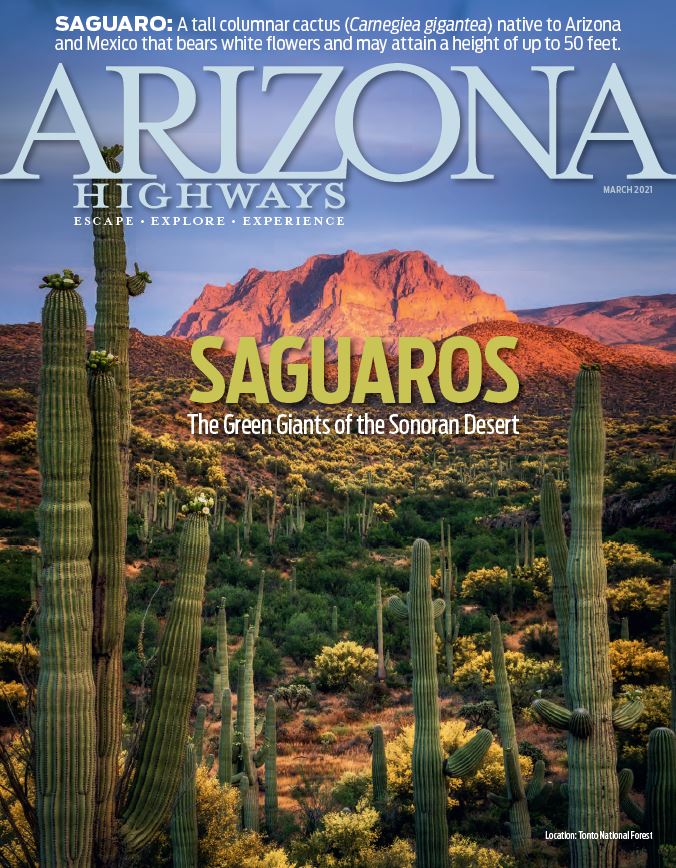 StateLibAZ's tweet photo. New Arizona Highways alert!
January, February, and March 2021 issues of @azhighways are now online on the Arizona Memory Project.
https://t.co/nLkGsl27D4
#ArizonaMemoryProjectPartners https://t.co/q878Ugg7sx