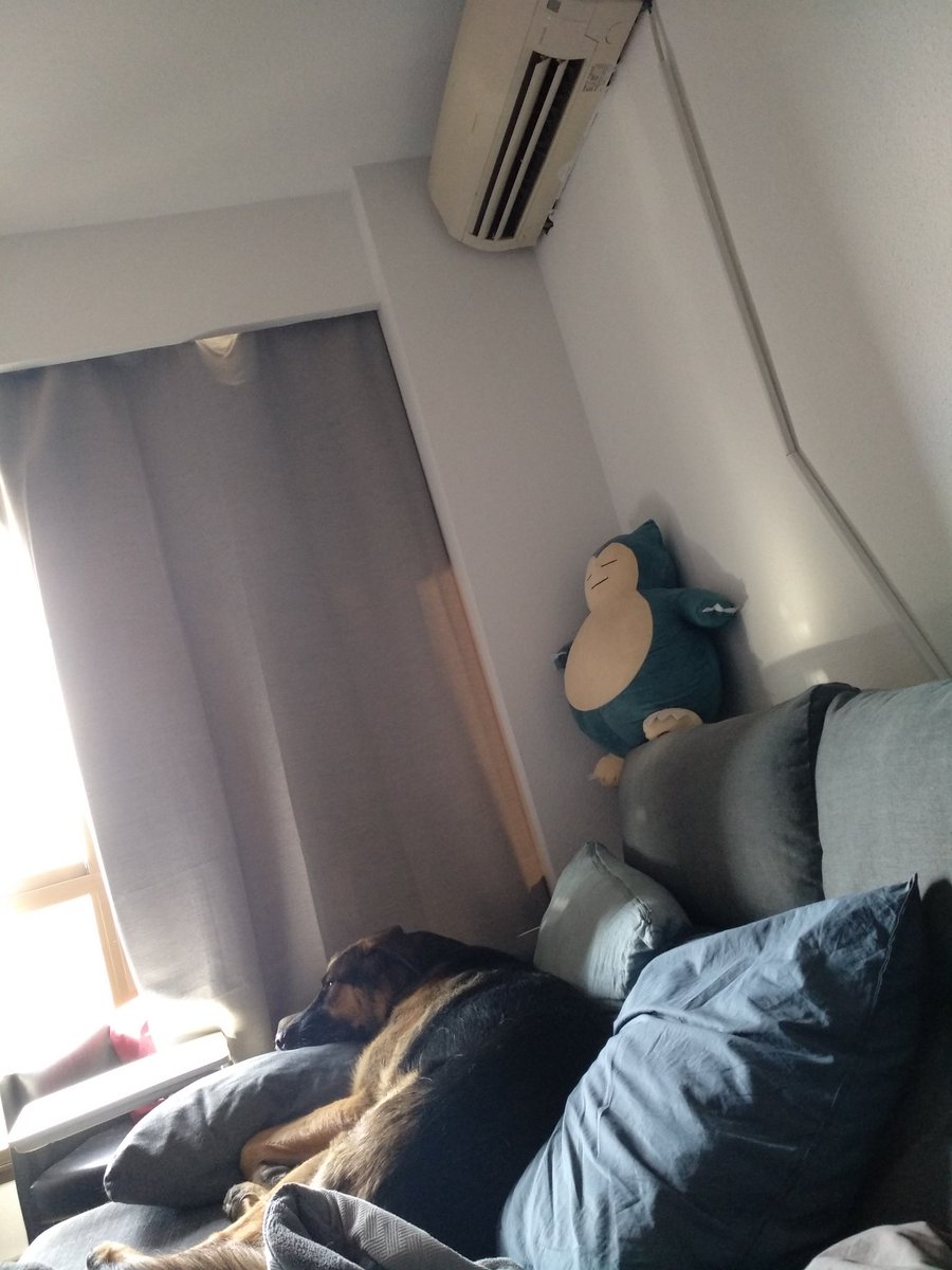 Osete sabe donde colocarse para no pasar calor 😂😂😂😂😂