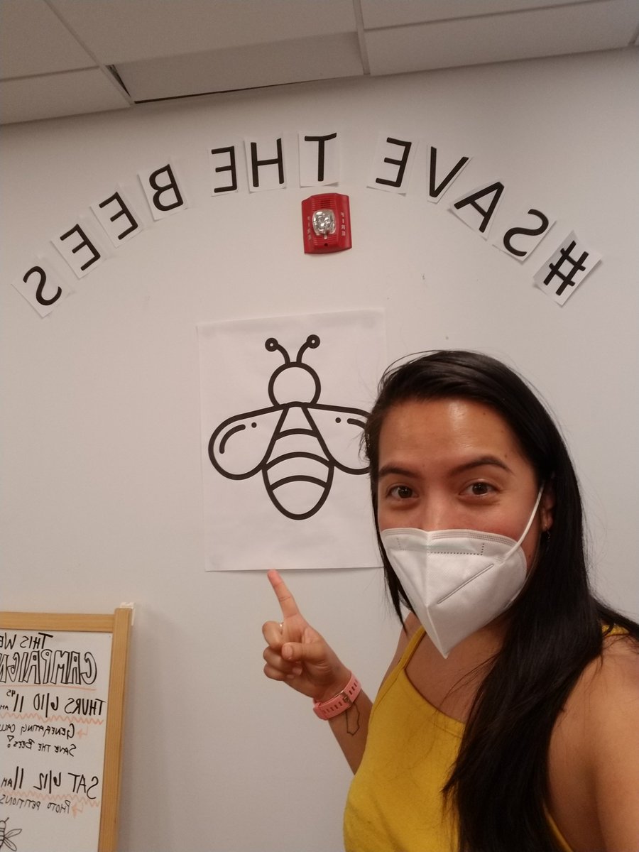 BelloMelanie's tweet photo. #savethebees @amazon_policy stop selling bee killing pesticides! https://t.co/W8DOAUO42P