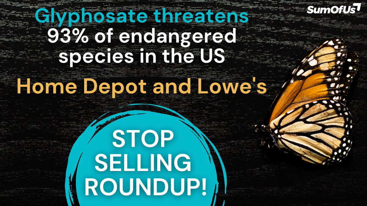 Eko_Movement's tweet photo. Countless home gardeners and groundskeepers are unknowingly spraying #glyphosate-laden weed killers in our communities. Let's act now to demand that @Lowes and @HomeDepot stop selling Roundup and other glyphosate products immediately. Sign now ➡️ https://t.co/6xj2mKnl77 https://t.co/ZBrNsz5sg8