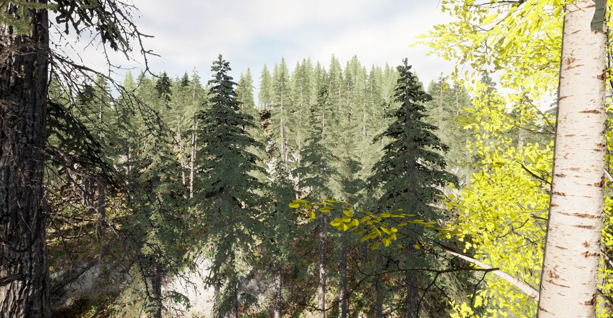 We believe #Maine is beautiful, from it's rugged coast to lush forests, and we're trying to capture that in games!

#visitmaine #thewaylifeshouldbe #indiedev #UE4