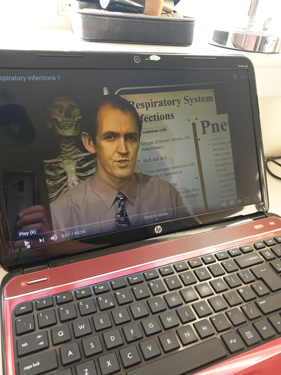 debbiewannan's tweet photo. I swear I have more of a relationship with Dr john campbell than I do with my husband right now. #OSCEprep #learningaboutthelungs https://t.co/PC0EWgoFSe