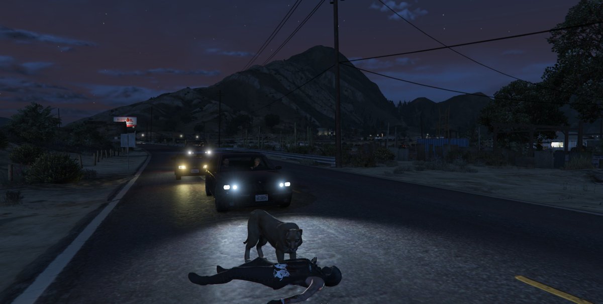 lifetimerp's tweet photo. Well she is not having a good day. Murder kitty +1

#GTAV #murderkitty #FiveM https://t.co/sCHBDauURx
