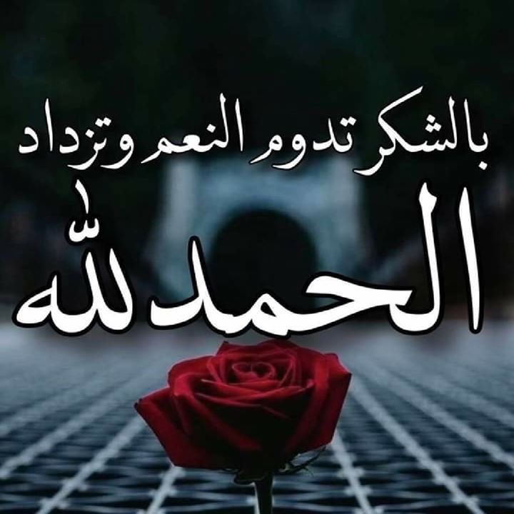 massii_08's tweet photo. الحمد لله الذي بنعمته تتم الصالحات https://t.co/K4PqedeKYA