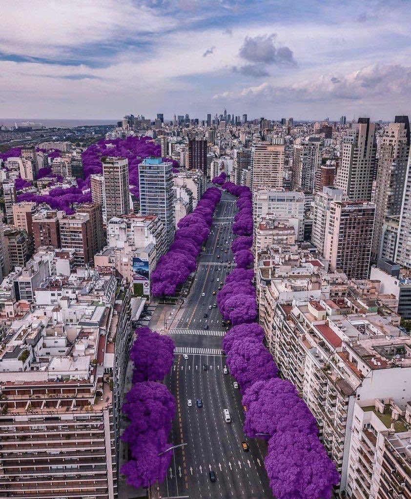 cloudc_'s tweet photo. احد الشوارع في الأرجنتين •💜 https://t.co/PBfRgSv51x