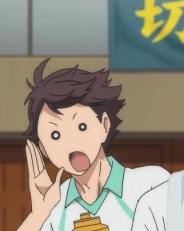 leaf (foliage) tweet media