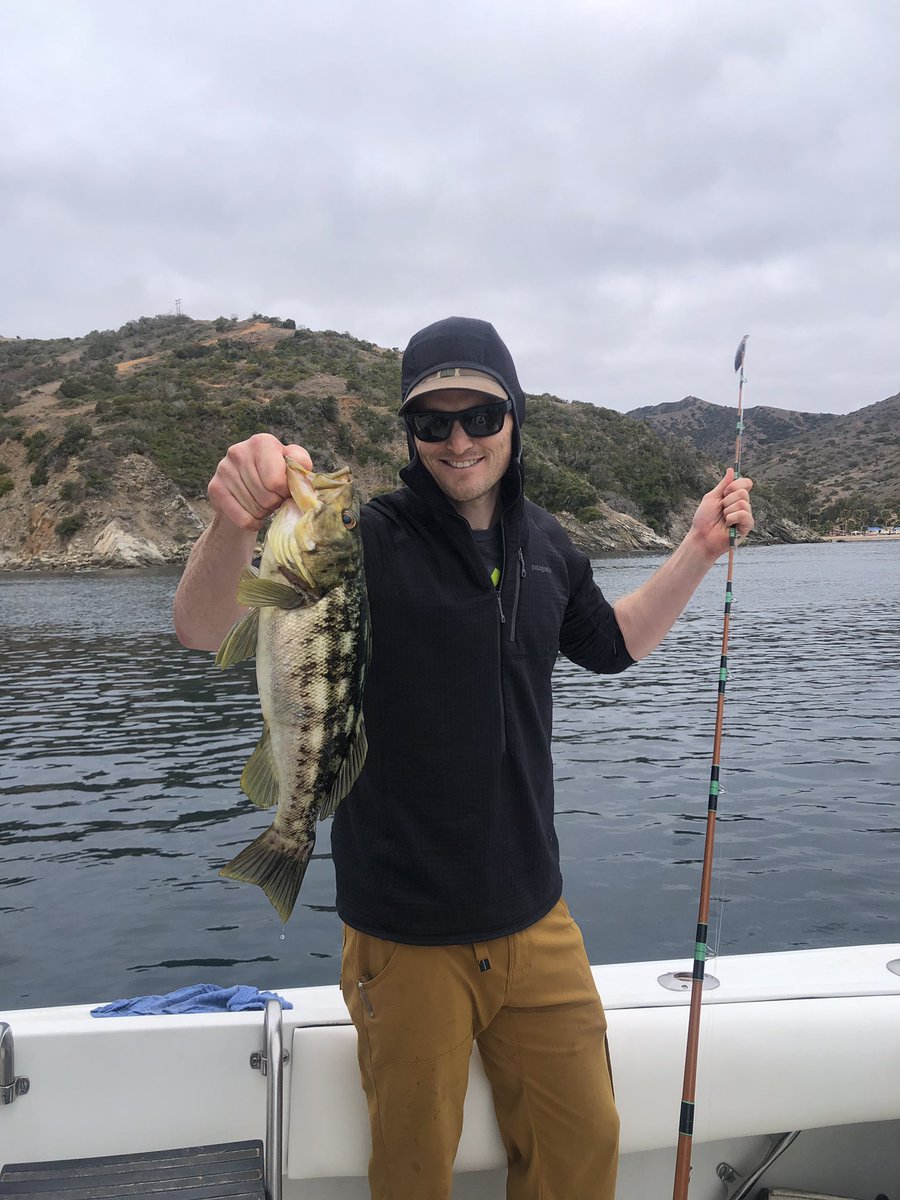 Stuart Schroff, MD tweet media