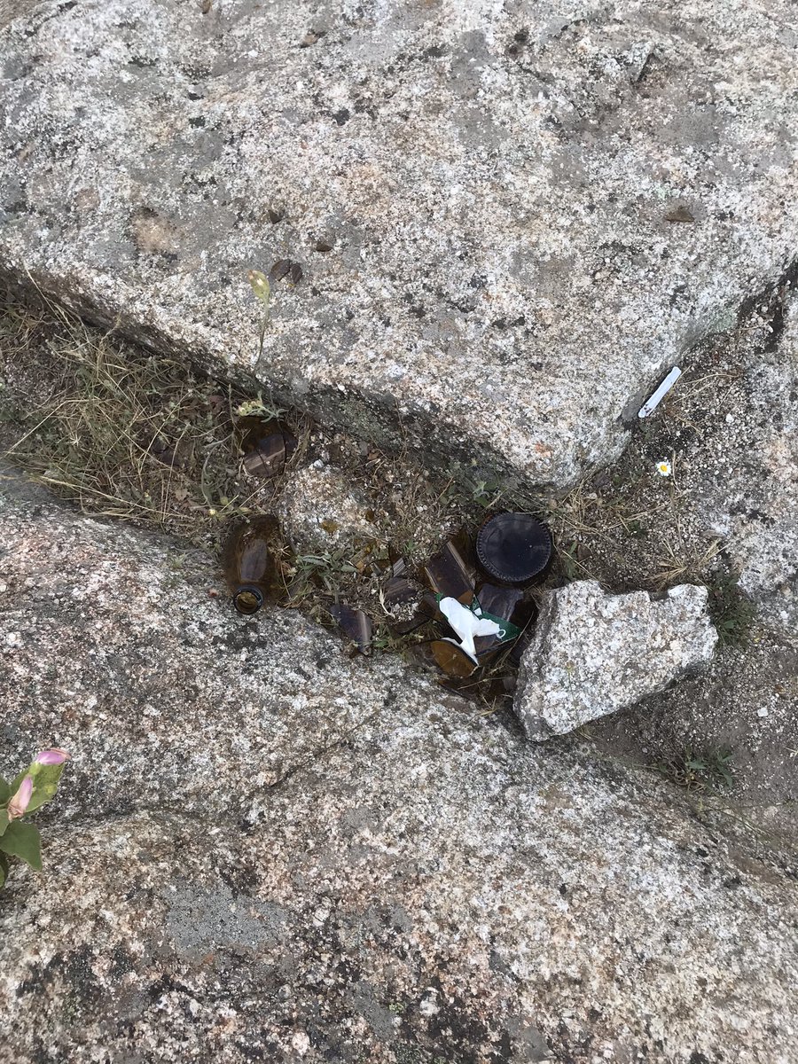 asiallí tweet media