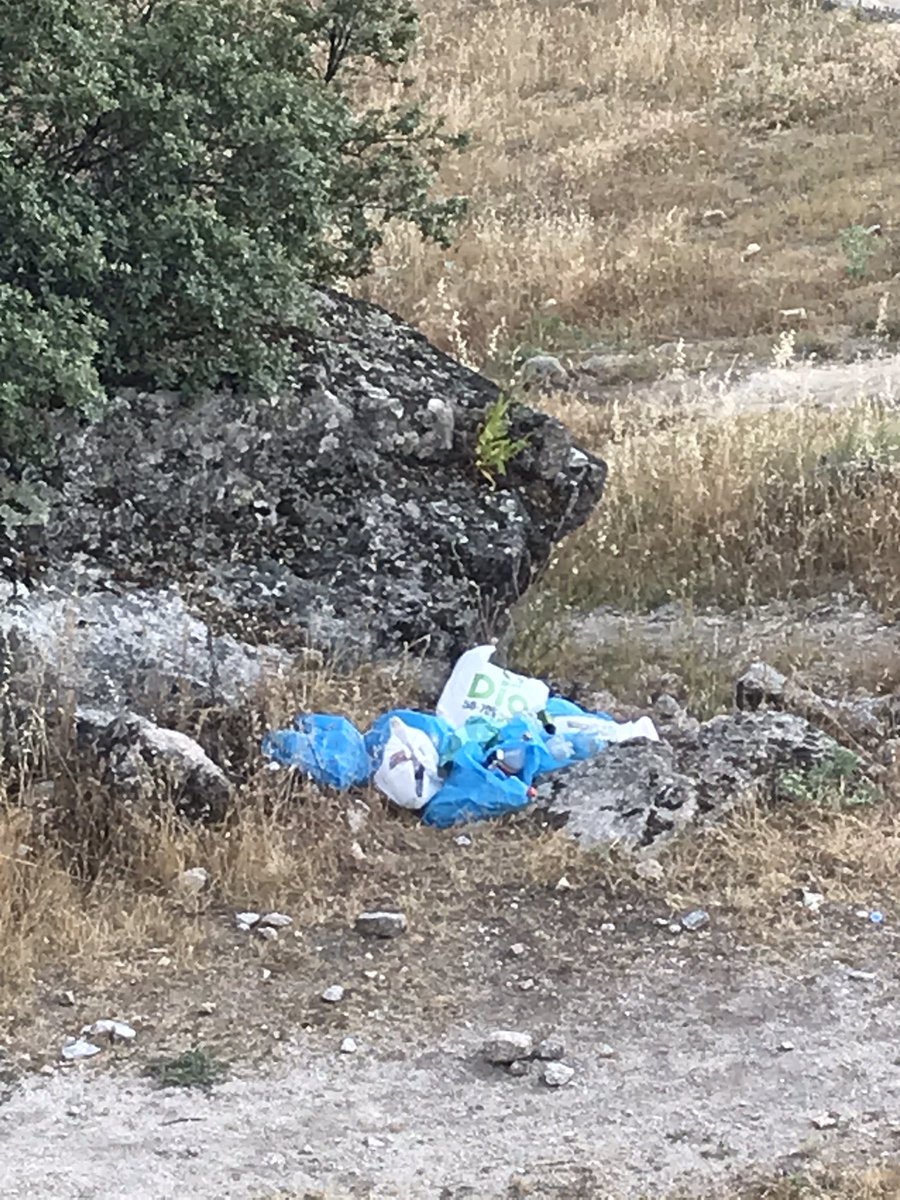 asiallí tweet media