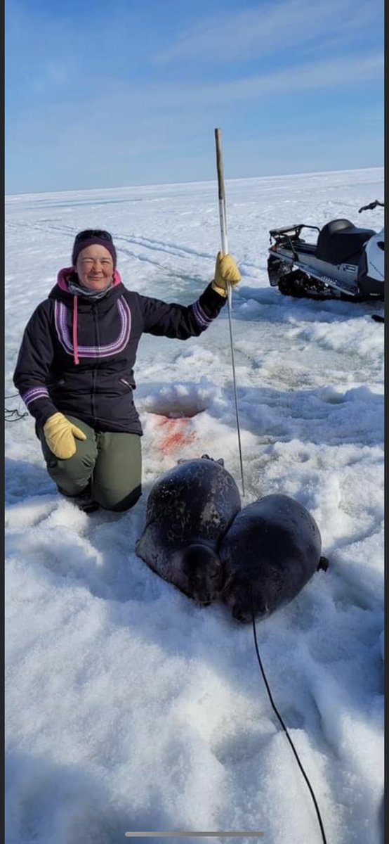 ssateana's tweet photo. First for everything! The other day I caught 2 seals with one strike. Did not realize I caught 2 till I was pulling the seal(s) up. #hunting #huntingseason #spring https://t.co/PVWcta5yr7