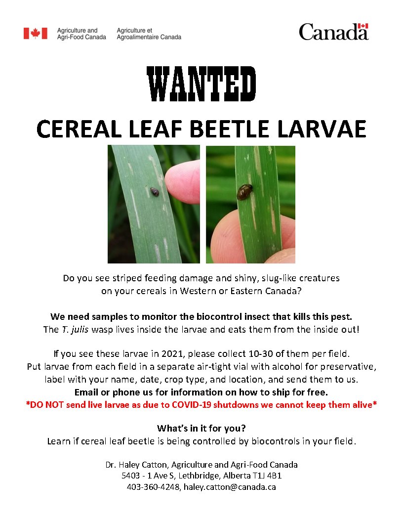 Haley Catton tweet media