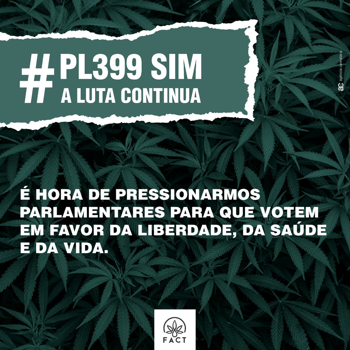 FactBrasil's tweet photo. O PL 399/2015 será votado na Comissão Especial da Câmara dos Deputados (08/06) nesta terça-feira, às 9h! No momento, a votação está acirrada entre 34 parlamentares da Comissão, e o projeto corre risco de ser arquivado.Nos ajude a pressionar os deputados! 
https://t.co/PmEhw3J523 https://t.co/mm4nyYJub4