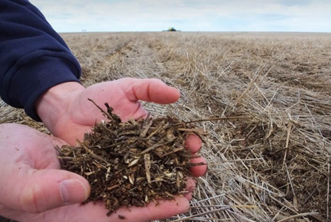 USDA_NRCS's tweet photo. Residue from cover crops protects and nourishes soil. https://t.co/pEHIAo8f5p #soilhealth https://t.co/fEXZZ28VNK
