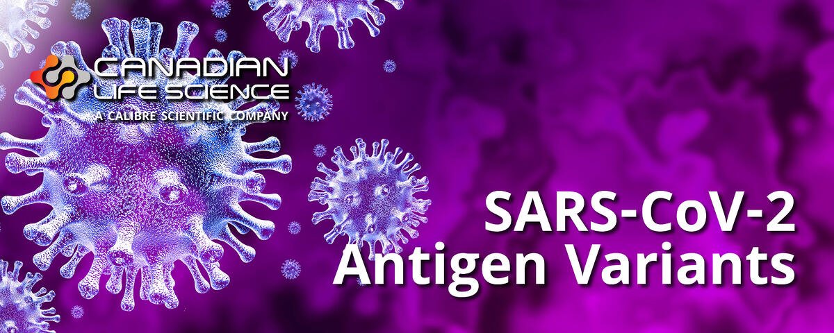 Now available at CLS! Full-length Trimeric Spike SARS-CoV-2 Antigen Variants. Canadian Life Science supplies Spike Antigen of the latest and SARS-CoV-2 mutant strains including Wild-type, UK, South African, Brazilian, California, UK/Nigeria, and Indian variants.