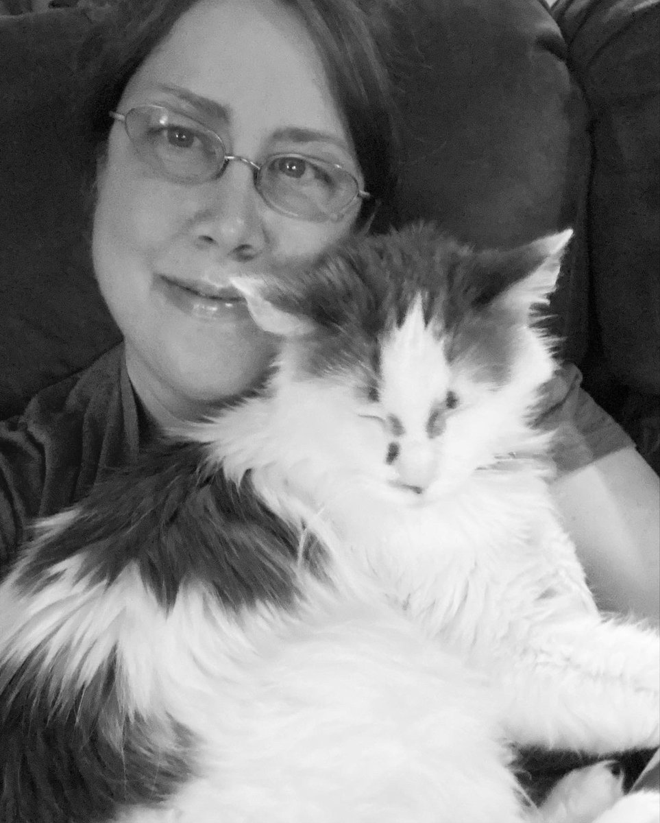 LilOkie76's tweet photo. Trying to take a selfie with a cat is like…… well……herding cats! Happy 16th birthday to my BFFFF (best floofy friend furever) #MelvinKitty! May we still have many more years of snuggles ahead of us! ❤️🐱😻 #CatsOfTwitter #BFF https://t.co/XntjMsFcoA