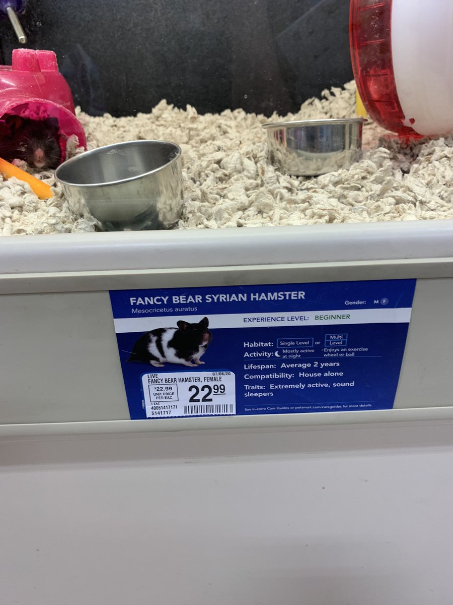 Swiilah11b's tweet image. #cybersecurityhumor #infosec #Mandiant Petsmart selling APT28 hamsters