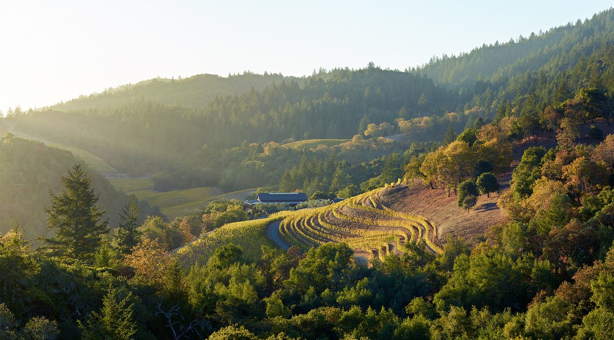 #Newsflash | We were thrilled to read Matt Villano’s article in <a href="/thetimes/">The Times and The Sunday Times</a> over the weekend, and the news that tourism officials say visitor numbers to #Napa and #Sonoma are at their highest since the pandemic started, up by as much as 230 per cent in some parts of the region.