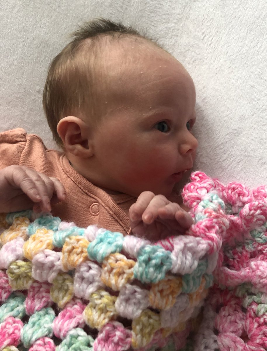 John Patrick tweet media