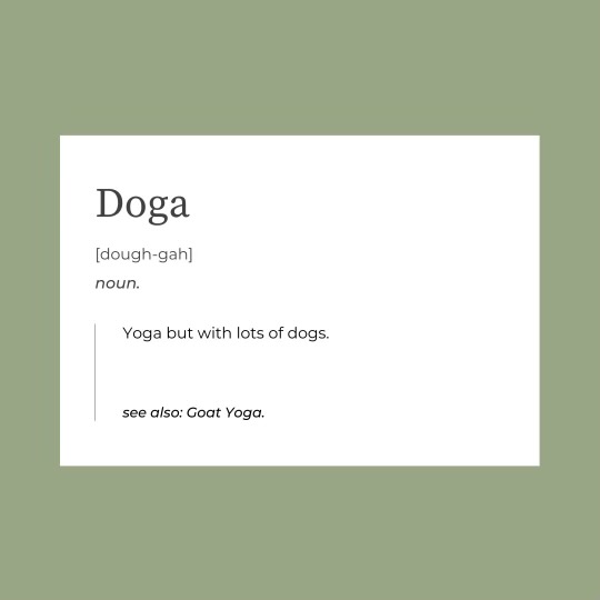 MODERNBEAST_'s tweet photo. DOGA is back this Saturday 6/12! 🧘🏻‍♀️

All proceeds from ticket sales will go to @Fixnfidos and the amazing work they do. Choose between a 9:30am and a 12:00pm class - and don’t forget to bring your beast! @kaceymontoya #dogyoga #laevent #dogs

Tickets: https://t.co/eErRw8Dtzs https://t.co/wce7vUoFAc