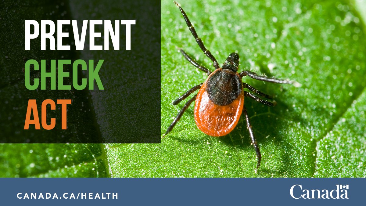 Prevent Check Act. Photo of greenery with a blacklegged tick.