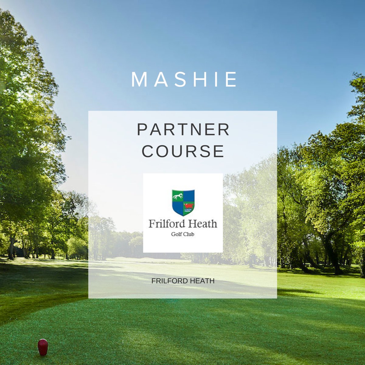 MASHIE Golf tweet media