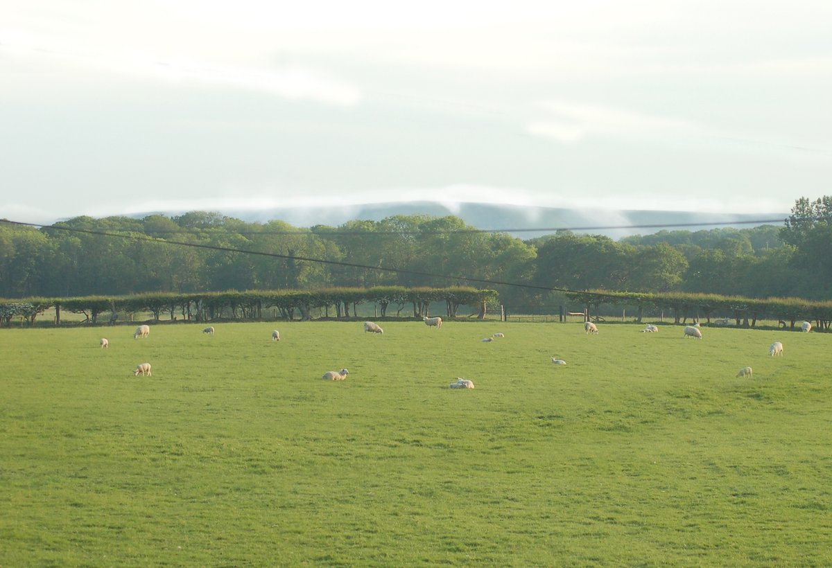 ChiddinglyRob's tweet image. second evening in a row we&apos;ve been able to watch sea mist roll in over the #SouthDowns between #Alciston  and #Firle and cascade down the scarp slope toward the #LowWeald; yesterday it kept coming and #Chiddingly was shrouded in fog, but today it disappeared before it reached us