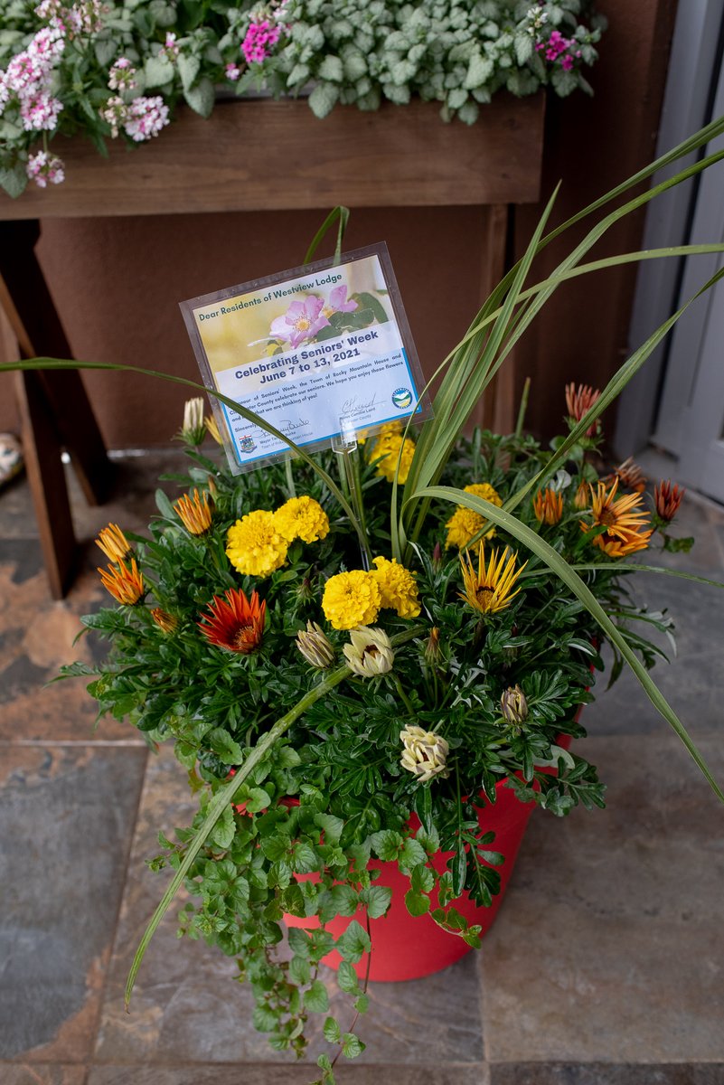 Town of Rocky on Twitter "Rocky Mountain House Mayor Tammy Burke and