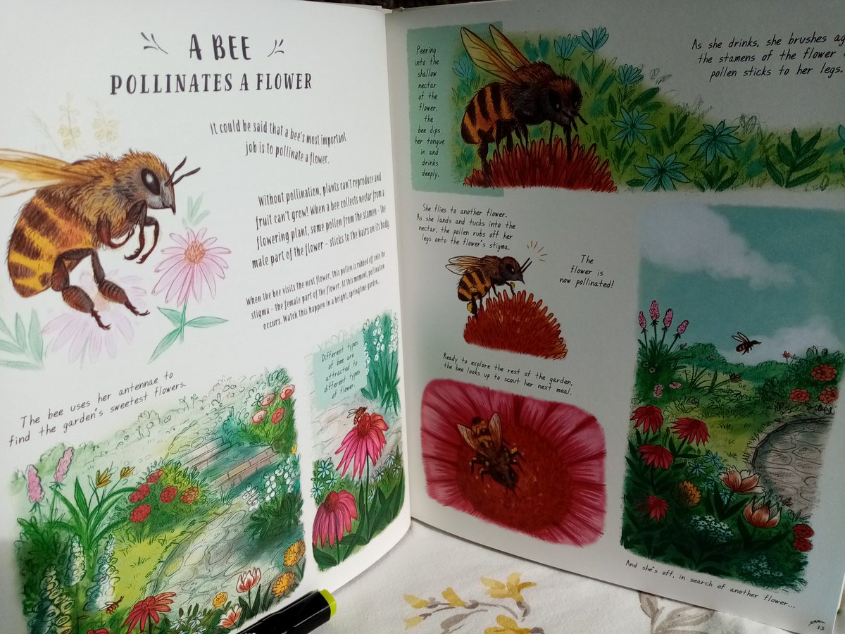 NMLPerkster's tweet photo. Learning more about bee's #30DaysWild https://t.co/oV4Hcvuhke