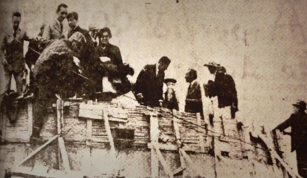 Museo de Arte Contemporáneo de Bogotá tweet media