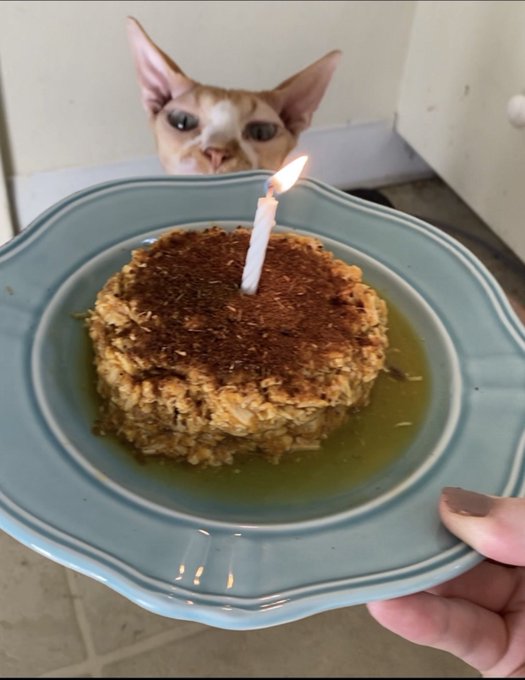 2 pic. Happy birthday bud, I wish you where here so I could make you another kitty cake. I miss you ?