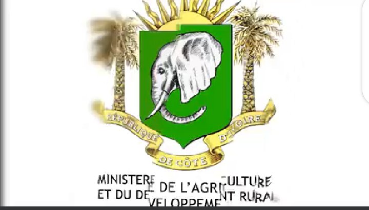 KOBENAN KOUASSI ADJOUMANI Officiel. tweet media