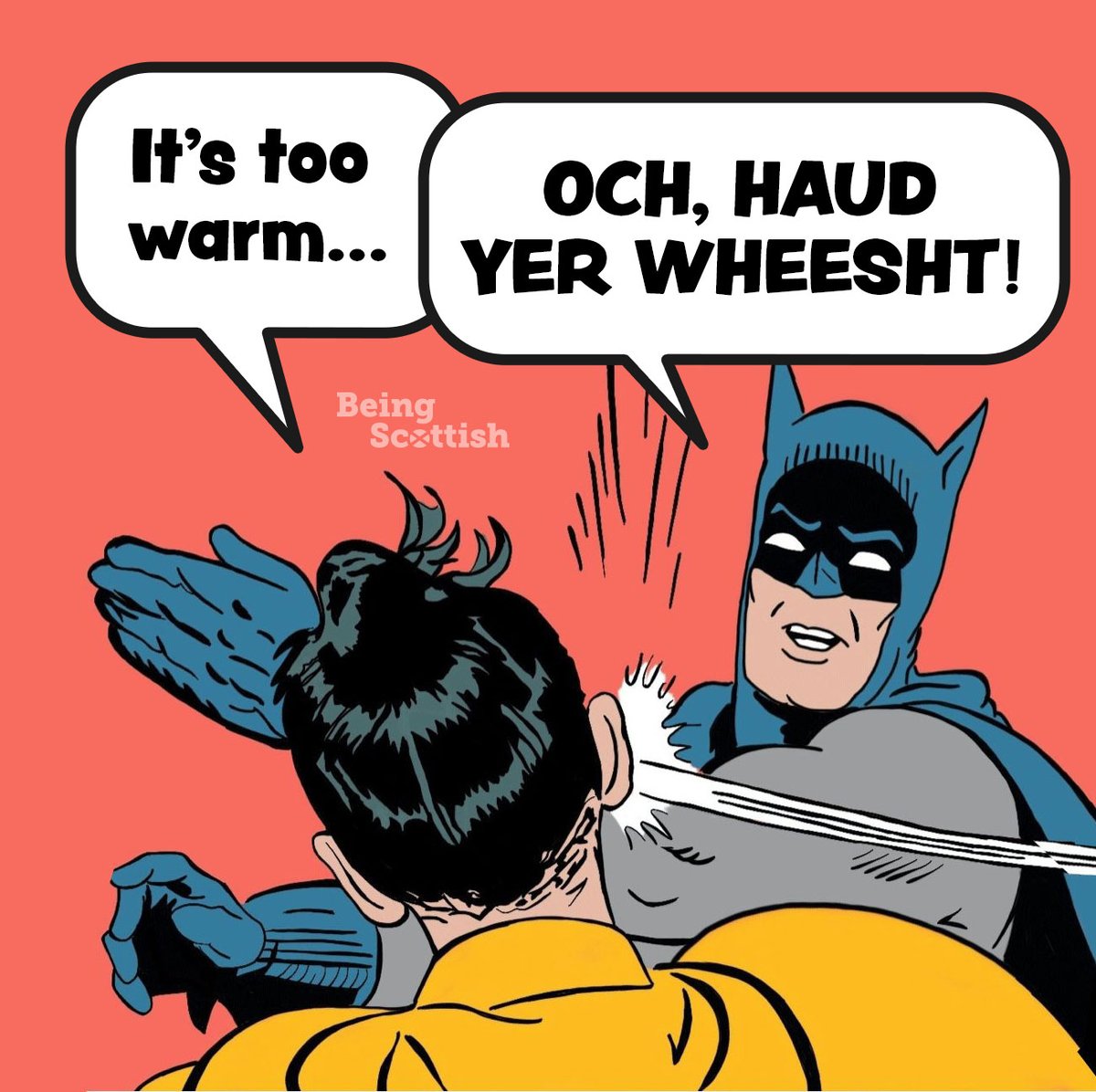 BeingScots's tweet photo. Ooft... that's Robin telt! https://t.co/DBtqwcgVaS
