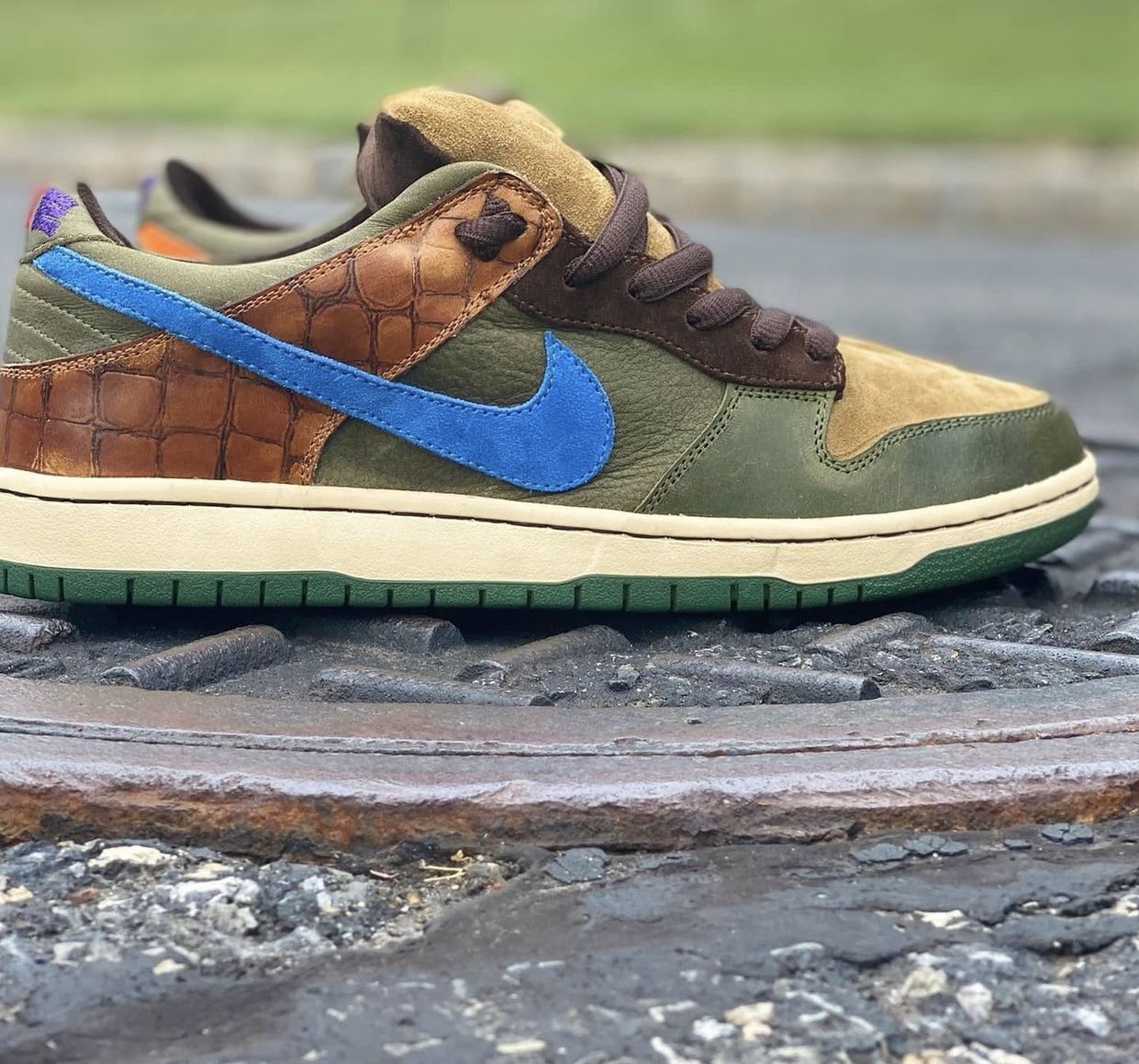 Tmnt nike outlet dunks