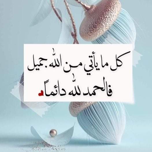 salima_sama's tweet photo. الحمدالله دائما وابدا https://t.co/Bf4WR5EVYi