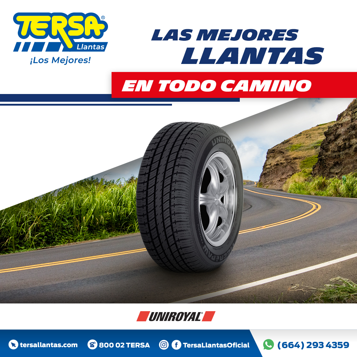 TERSA Llantas & Car Service on Twitter: "Ven a TERSA y llévate confía en las llantas que cuidan a tu familia. Escríbenos por Whatsapp y obtén tu cotización: