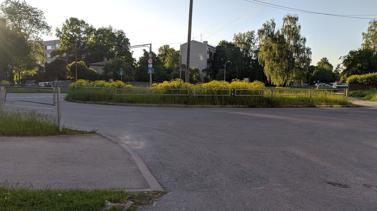Timurs36584340's tweet photo. @Pilsetasdzive @VAS_LDz @RigasDome Starp citu, @RigasDome . Te Valdeķu un Kartupeļu ielas krustojumā pļavas izauga līdz pat pusdiviem metriem. https://t.co/oNwT2MVK79
