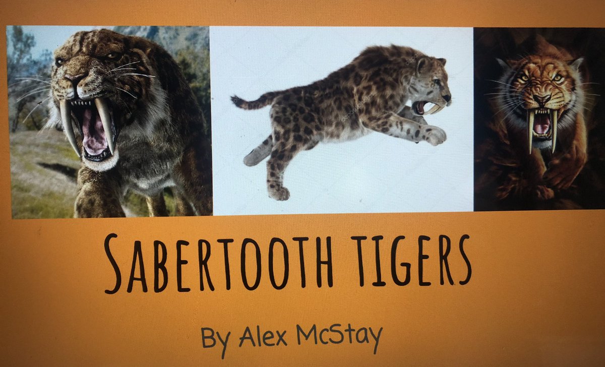 Sonya Brown tweet media