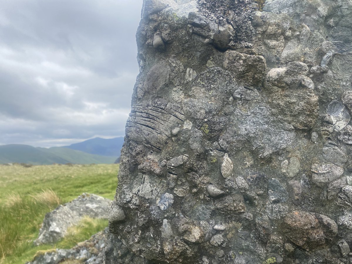 RAW Adventures tweet media