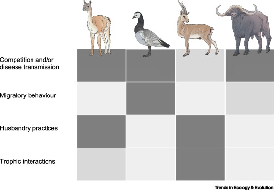 Trends in Ecology & Evolution (@trends_ecol_evo) on Twitter photo Out OA now
<a href="/RocioPozo5/">RocΓo Pozo | Conservation Scientist & Communicator</a> <a href="/jeremyjcusack/">Jeremy Cusack</a> and colleagues
Reconciling livestock production and wild herbivore conservation: challenges and opportunities dlvr.it/S1G8vF Out OA now
<a href="/RocioPozo5/">RocΓo Pozo | Conservation Scientist & Communicator</a> <a href="/jeremyjcusack/">Jeremy Cusack</a> and colleagues
Reconciling livestock production and wild herbivore conservation: challenges and opportunities dlvr.it/S1G8vF