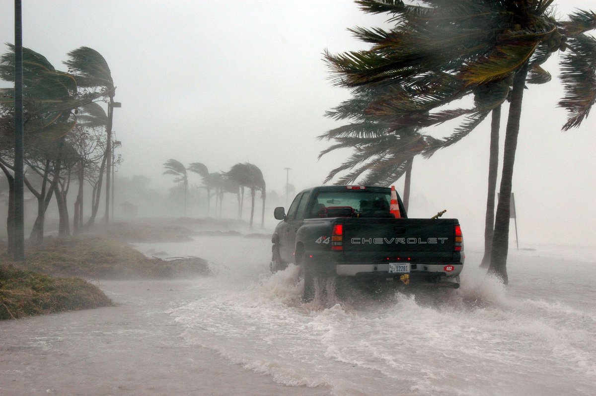 A truck driving in water near palm trees.