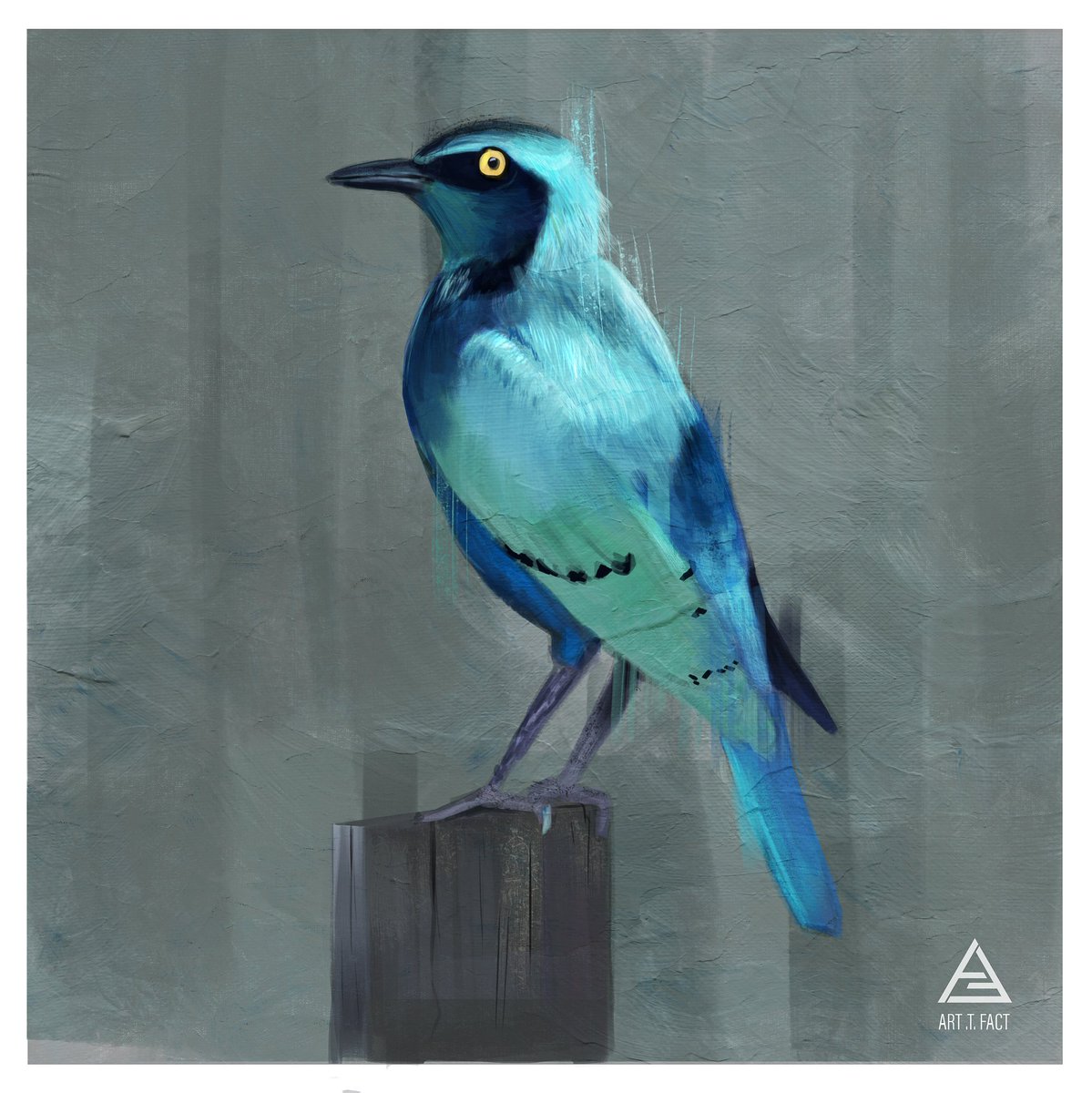 Art T. Fact 🎃👻 tweet media