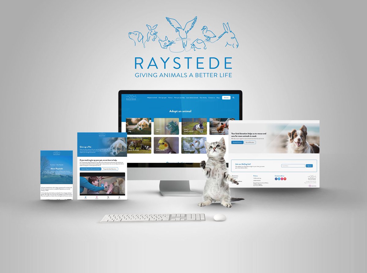 mjsmedia's tweet photo. We recently delivered a brand new website for our friends at Raystede Animal Sanctuary.

The brief was to make it easier for visitors to find what they wanted and to make it simpler for the in-house marketing team to update the site.
#raystede #WebsiteDesign #mjsmedia https://t.co/UnhcD2y4PL
