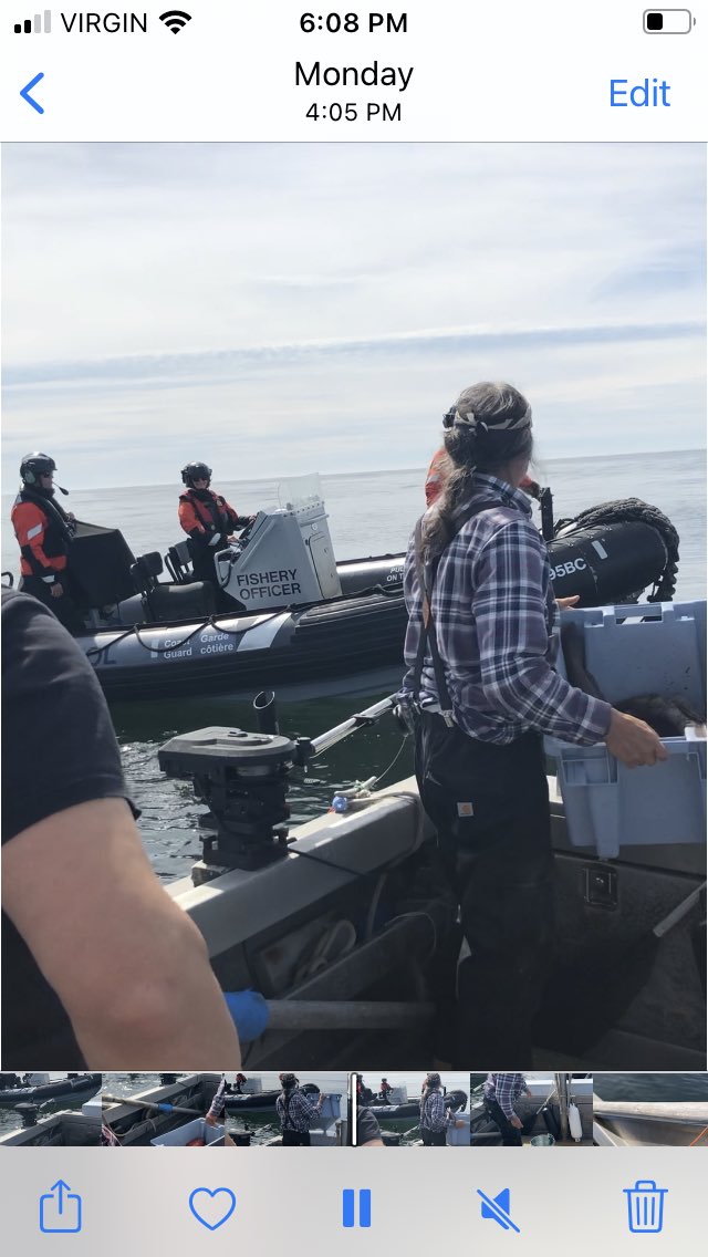 Mariahcharleson's tweet photo. For those who asked for an example of continued colonization &amp; genocide by Canada: My dad, an elder, an IRS survivor gets rolled up on &amp; harassed by @FishOceansCAN for simply exerting his right to harvest from the Nation he belongs, #Hesquiaht. #FirstNations https://t.co/eHtpYKjtmF