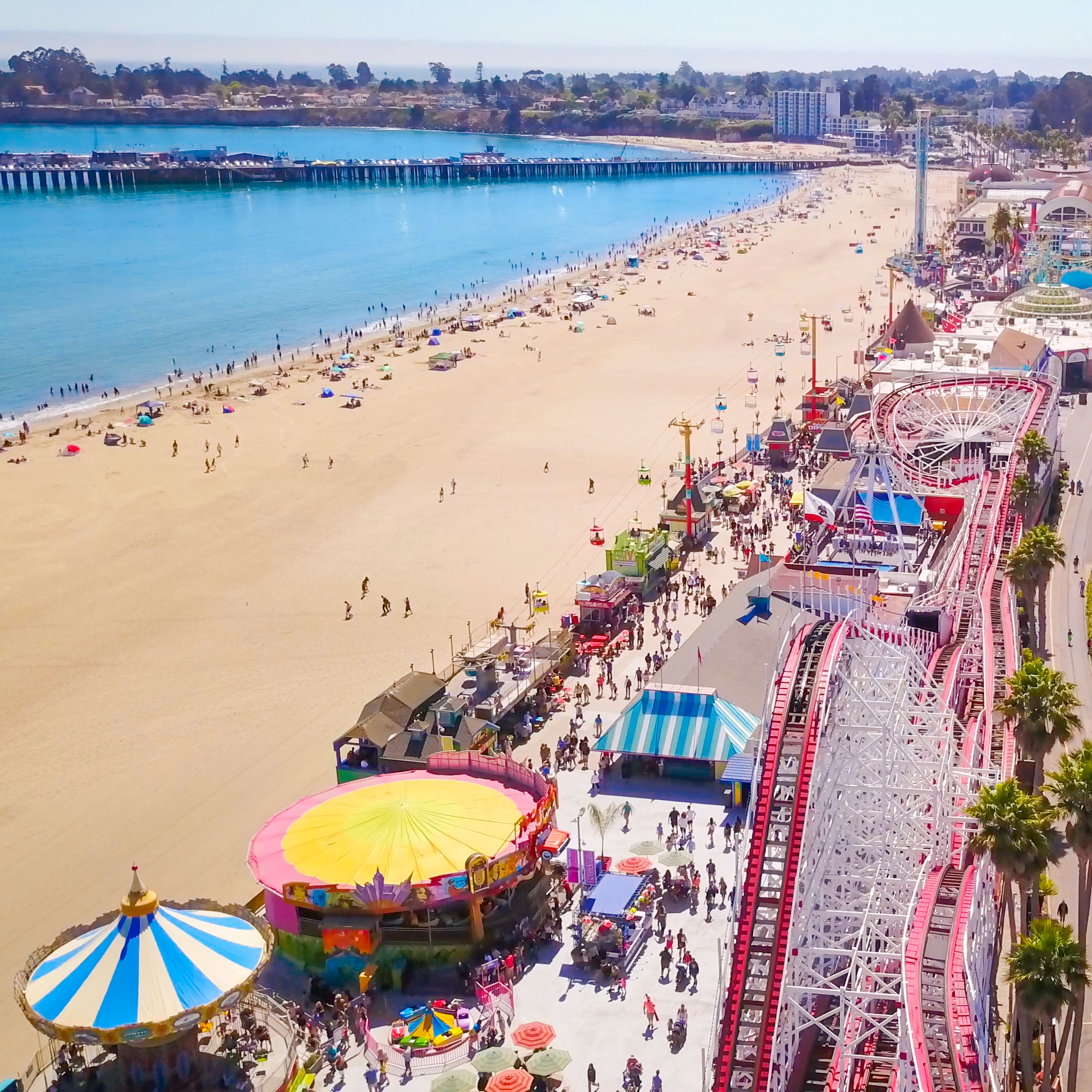 Santa Cruz Beach Boardwalk on X: Boardwalk Rides are now Open Daily!  Out-of-state residents will be able to make ride reservations starting June  15. 🎢🏖🎠🌴🌊 Visit  for details and hours. # SantaCruz #