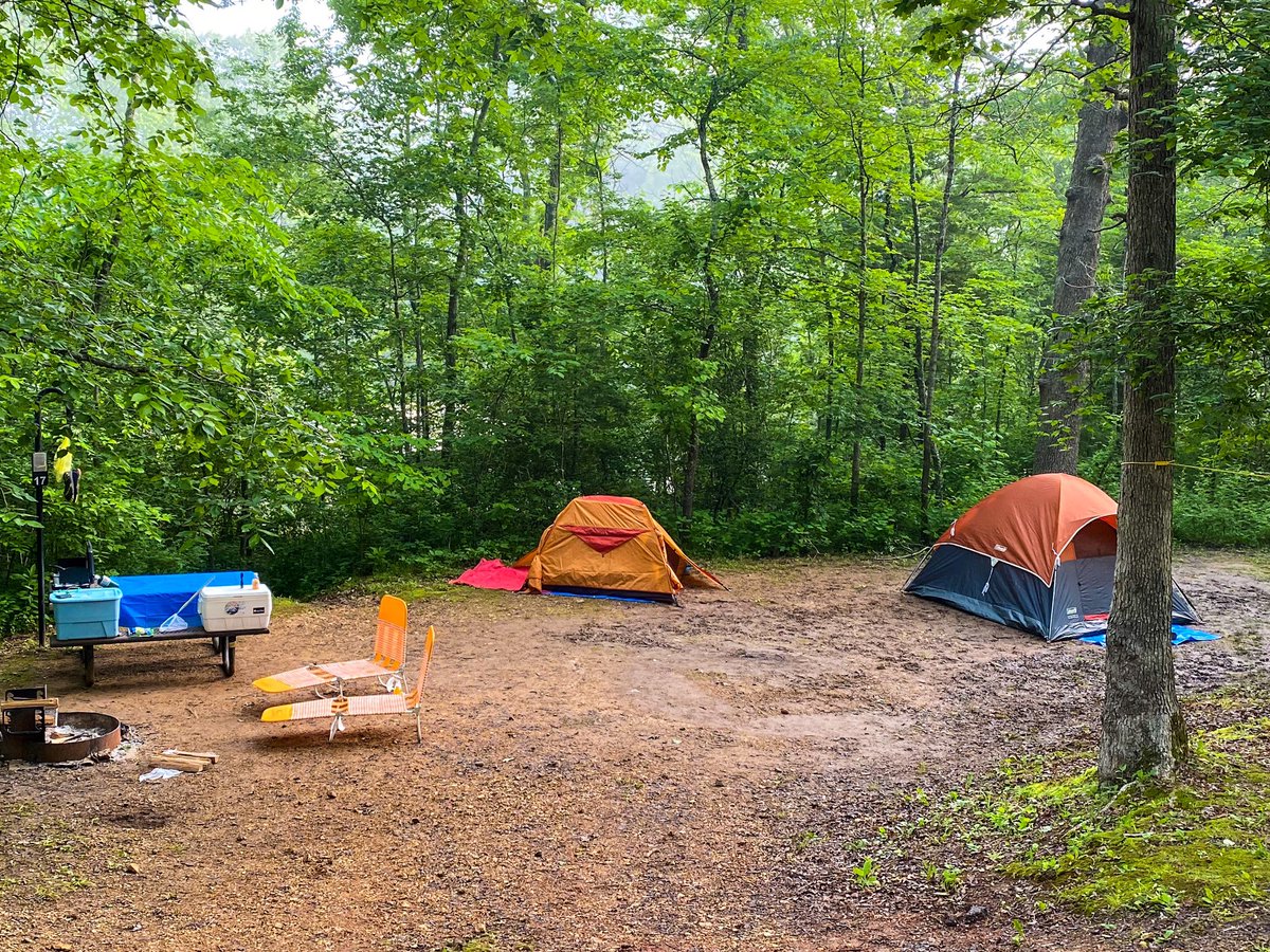 hikingwithshawn's tweet photo. It was great to camp at Current River again! 3rd year straight! #parkchat #NationalPark #onsr #Missouri https://t.co/CxwBaEuViz
