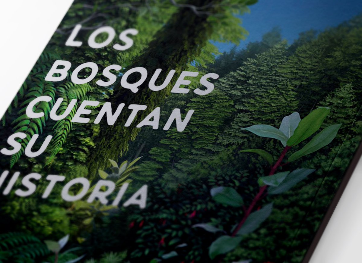 BigBangcontents's tweet photo. Nelida Pohl, asesora científica de nuestro libro "Los bosques cuentan su historia", entrevistada hoy en @radiouach, programa Sonidoteca Explora de @PARexploraRios  
Escúchala acá (minuto 31): https://t.co/Gzk2jCddId
Conoce el libro completo aquí: https://t.co/xqYbCFlz0m
@Achipec https://t.co/wcQe2aE8bA
