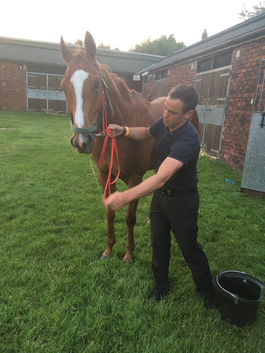 NRuthJefferson's tweet photo. Flint with Lee, who rides him out nearly everyday, following his win @ponteraces #winner #firstflatwinner https://t.co/Oruj0brKkK