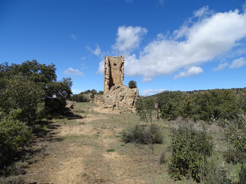AmigoCastillos's tweet photo. Un #castillo (torre) de #Huesca para saber más pincha aquí.: https://t.co/dF62sxexAc
@AragonCastillos @DPHuesca @aragonturismo @gobierno_aragon @Huescaturismo @TUHUESCA
#NoAlOlvidoARCE #Turismo #AZLOR https://t.co/cpYkedj8nT