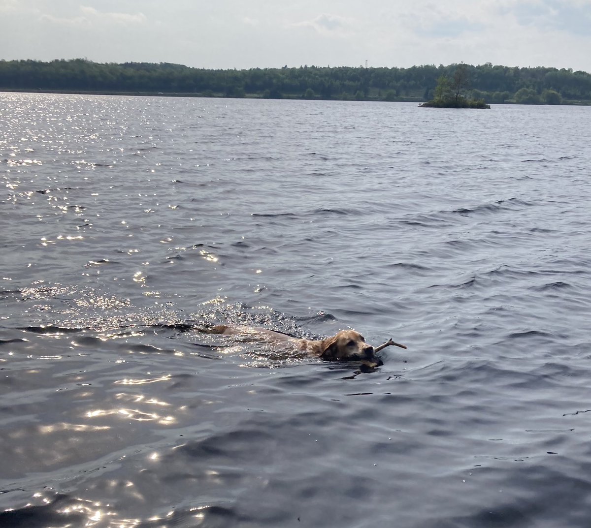 Feels like 37? No matter.
#FallRiverNS