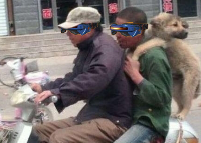 CODOL Council tweet media